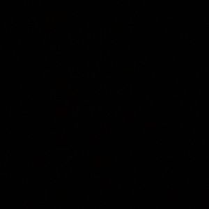 Meet your Posher, Elle